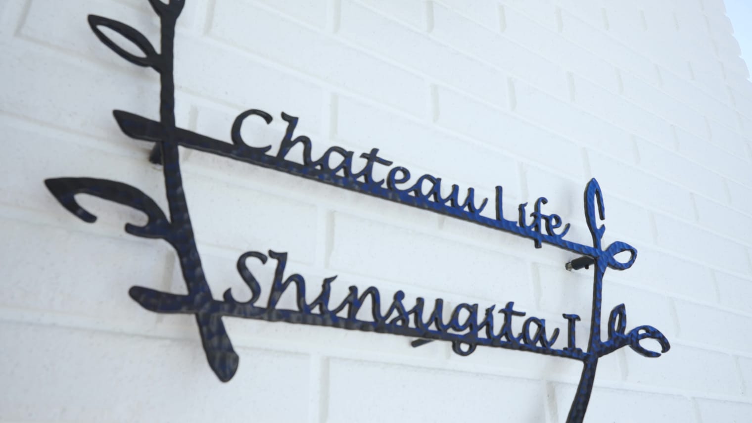 Explore Chateau Life Shinsugita with Henry, CEO of MoreHarvest (video)